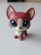 Littlest Pet Shop LPS  