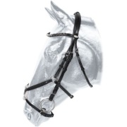 Kentaur ogłowie Monterrey EQUKAMELA ogłowia