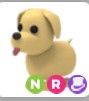 Dog NR - Roblox Adopt Me