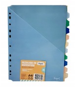 Nowe plastykowe przekładki A4 10 szt do segregatora