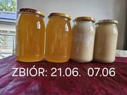ZBIÓR 21 CZERWCA!!! Miód Wielokwiatowy z Żuław lub rzepakow z 7 czerwca