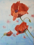 Maki  obraz olejny,odcienie niebieskiego