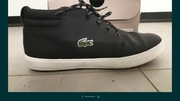 LACOSTE AMPTHILL TERRA 319