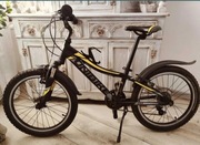 Rowerek  dziecięcy 20 