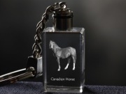 Canadian Horse brelok sześcienny Świecący