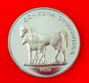 100 zł 1981 Konie - ochrona środowiska (próba)