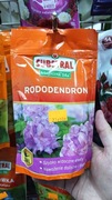 Substral Rododendron nawóz interwencyjny 350g