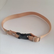 Obroża regulowana dla kota regulowana 25 cm