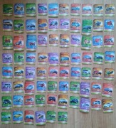 Kolekcja Kart Motomania Auto Świat Star Foods 117 kart