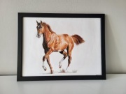 Obraz rysunek postać konia w ramce koń 