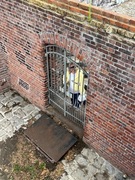 Toyota rav4 hybrid grill