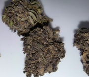 Susz CBD BlueBerry 5g 10g 25g 50g 100g 250g 6.10% wyprzedaż promocja 