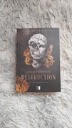 "Destruction" Amelia Śnieżewska 