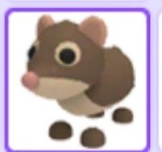 Shrew | Roblox | Adopt me |