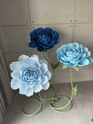 Zestaw piwonii z krepiny