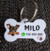 Adresówka identyfikator dla psa 