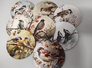 Nowe podstawki pod kubki ptaki 8 sztuk