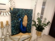 Obraz akrylowy 80x60 ,,Piękno Pawia" 