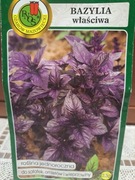 Bazylia właściwa czerwona 