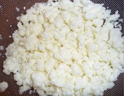 Grzybek tybetański kefirowy + receptury + instukcja +doradztwo