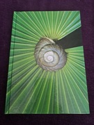 #141 Zeszyt, 96, kratka, ślimak