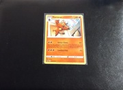 Karta Pokémon Torracat (SIT 031)