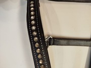 Kantar Start CUP Chain, rozmiar cob czarny z kryształkami