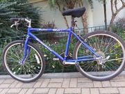 Rower Graphite GHT 189