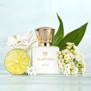 Glantier Premium 568 = Chloe Nomade