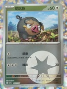 Lechonk 16 01/05 NM Energy Holo Pokemon TCG Chińska