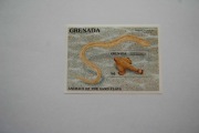 Grenada Sw 2407** maźnica nosata /ms/