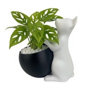 Doniczka dekoracyjna Art sukulenty Kot biały z czarną z kulą plastikowa