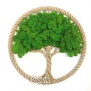 Drzewko Szczęścia Chrobotek, żywy obraz, handmade, dekoracja na ścianę 36