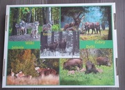 Puzzle Zwierzęta 5 x 54 elementy