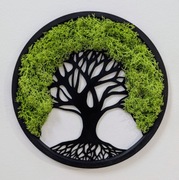 Ekologiczny Obraz 3D – Drzewo Życia z Mchem Chrobotkiem (Okrągły)