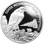 20 zł 2008 Sokół wędrowny, stan menniczy