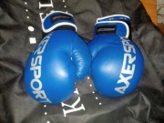 Rękawice Boxerskie 