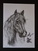 Grafika rysunek tuszem, portret konia koń 40/50 cm