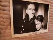 fotos filmowy zdjęcie fotografia nr 1033