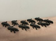 Kinder-niespodzianka Animals Natoons jaszczurka 5 szt.