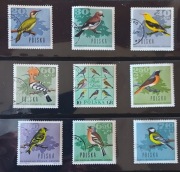 !!! POLSKA  PTAKI LEŚNE 9szt... KOMPLETNA _SERIA...KASOWANE*!!!