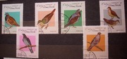 Fauna zwierzęta ptaki Kuba Cuba
