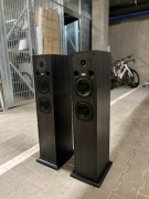 Kolumny głośnikowe Acoustic Energy AE109 LIMITED Made in UK