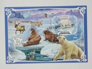 (729) blok zwierzęta polarne