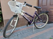 rower yosemite city street, stan dobry