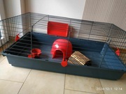 KLATKA dla świnki morskiej/ królika 100x55x40, używana