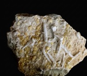 Siarka, celestyn , Tarnobrzeg, minerały, kolekcja