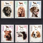 3049 - 3054 Psy myśliwskie