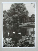 Szczecin. Park Jana Kasprowicza 1963r