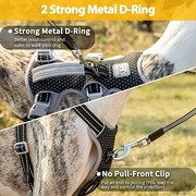 Szelki dla psa Huntboo HD03 -BLACK-M